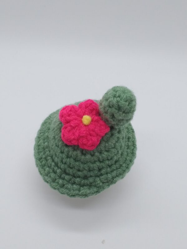 Mushroom Cactus – Image 3