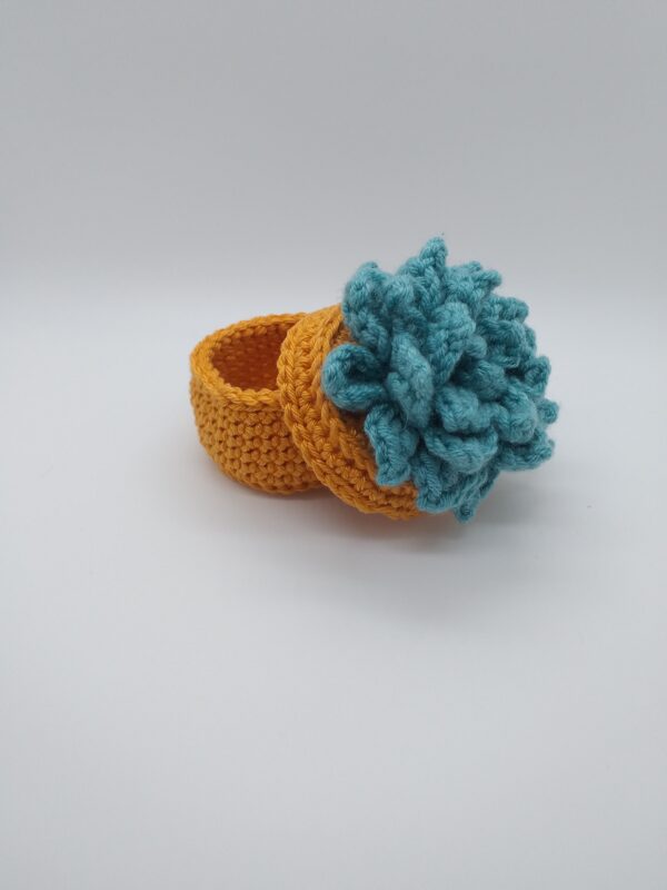 Boite Plante vivace – Image 4