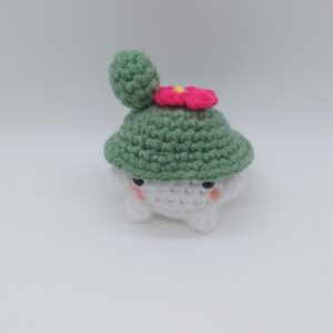 Mushroom cactus