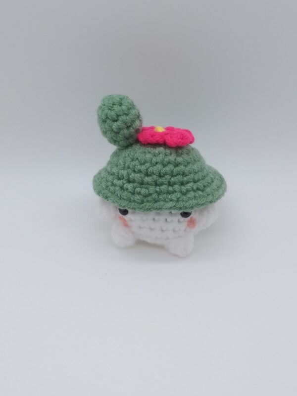 Mushroom cactus