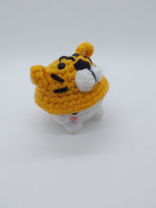 Mushroom Tigre – Image 3